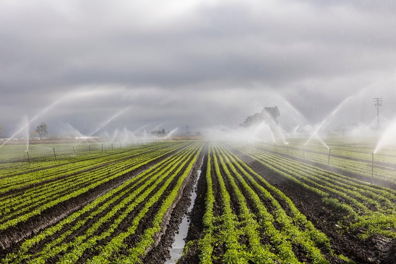 Irrigation Methods